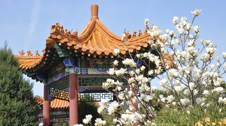八宝山礼仪有限公司朝阳陵园